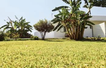 LECÉLESTE - Foto 19