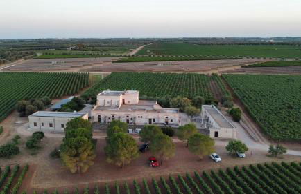 Masseria Giustiniani - Foto 50