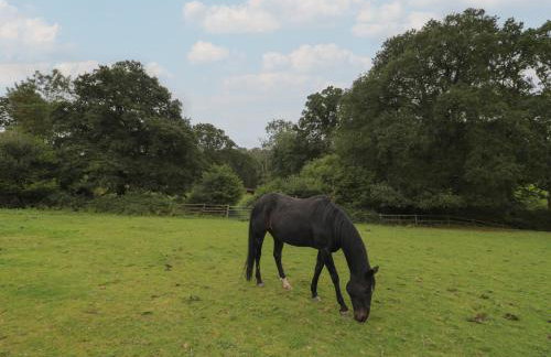 Brook Farm - Foto 47