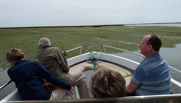 À bord du bateau sur la Ria Formosa