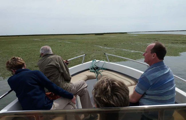 Ria Formosa Private Boat Rental With Skipper - Photo 2