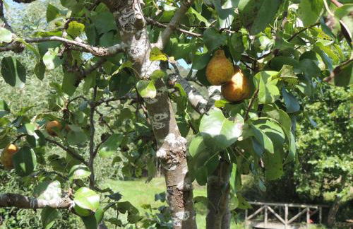 Casa de Campo Pumarada de Oirín - Foto 60