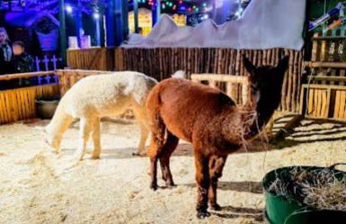 Home from home midlands - Photo 21