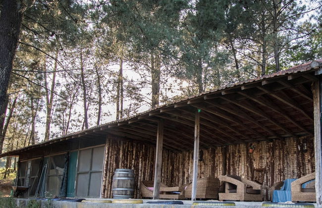 Quinta do Regato Douro - Foto 48