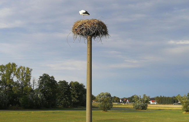 Apartment With Sauna and Fireplace in Bautzen - Foto 22