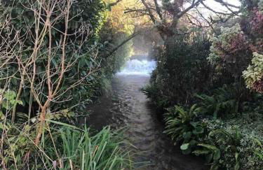 Eco-friendly Dorset cottage with spa set in heart of countryside - Photo 63