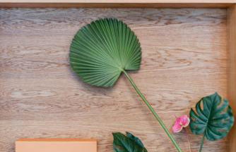 PHENOMENAL 5bedroom DESIGN HOUSE FOR NOMADS XXL GROUPS - Foto 35