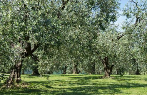 Agriturismo Podere La Casa - Foto 62