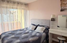 Bel appartement spacieux et lumineux de 100m2 au 3e étage avec ascenseur -A 5mn à pied du parc des expositions congrès de Dijon et ENG et 10mn du centre ville place Parking devant l'immeuble - Foto 6