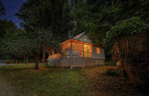 Smokies Cabin with Hot Tub and Arcade Games - Photo 47