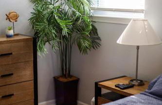 Fantastic 3BR Close to Botanical Gardens and Airport - Foto 50