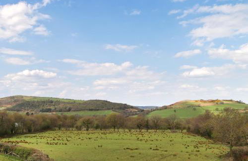 Teifi Cottage - Uk49590 - Foto 17