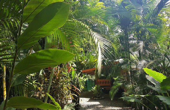 El Jardin de Playa Negra - Foto 53