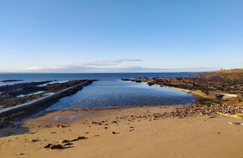 Fisher Gallery - Foto 20