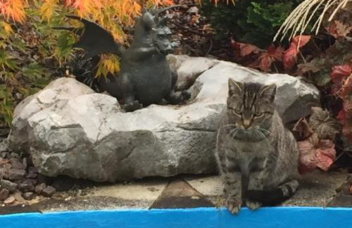 Ferienwohnung Vogesenblick - Foto 55