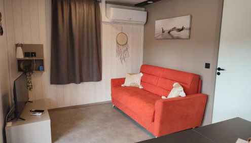 Lac du Der Chalet neuf tout confort - Foto 3