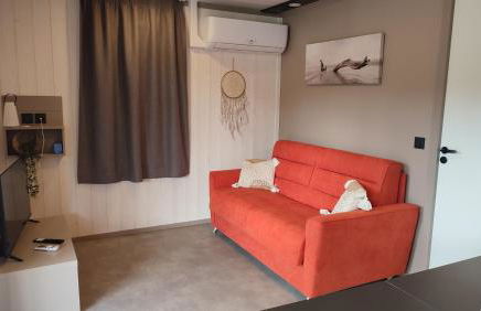 Lac du Der Chalet neuf tout confort - Foto 3