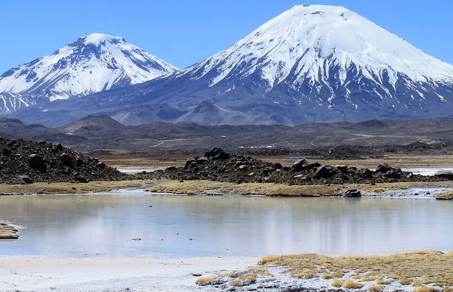 Lauca 3-day Tour - Photo 7