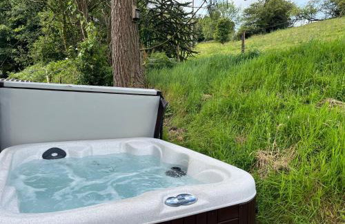 The Old Pumphouse Shepherds Hut with Hot Tub - Photo 51
