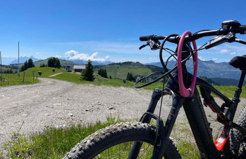 APPARTEMENT VUE SUR LES PISTES Aux SAISIES 4 - Foto 12