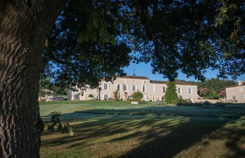 Terra Gasconha - Foto 51