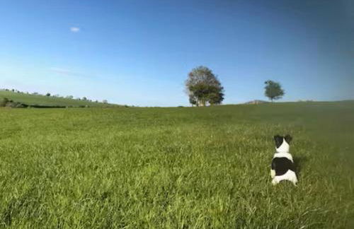 The Cottage at Sychnant Farm - Photo 32