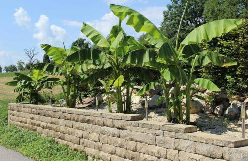 Gehobene Studentenwohnung - Foto 16