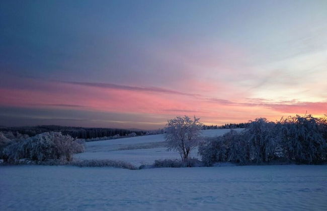 Old Forge Modern Retreat - Foto 25