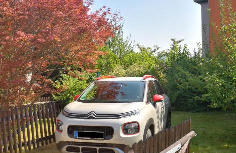 Ferienwohnung Spatzennest - Foto 21