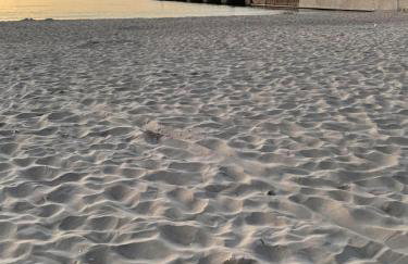 Apartament PLAŻOWY 214 - Rezydencja Niechorze - Photo 24