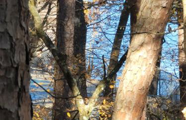 Bear Den on Lake Ouachita 2BR Condo at Mountain Harbor Resort - Foto 139