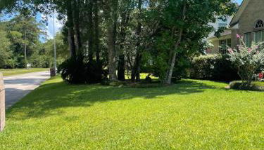 Unwind and Relax 4 Bedroom Stay - Foto 3