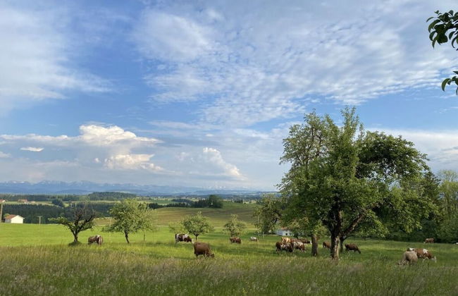 Appealing Apartment Near Lake - Foto 21