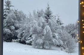 Woodland studio - Foto 15