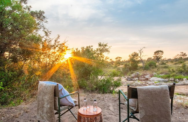 Kruger Untamed - Tshokwane River Camp - Photo 36