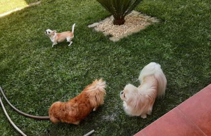 Casa da Tia Bina - Foto 47