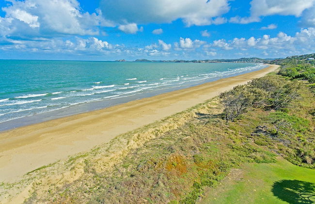 Driftwood On The Beach - Photo 34
