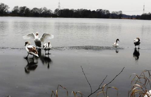 Ferienwohnung "Alte Fischerei" - Foto 34