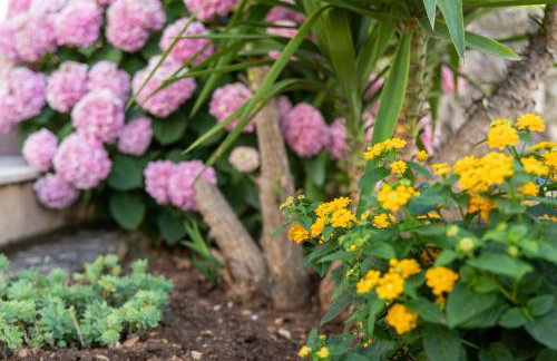 Apartment One - Foto 52