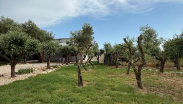 La Perla di Dea - Foto 2, Garden view