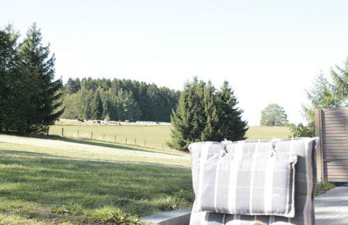 Landhaus Schnorrenberg, Wellness & Nature - Foto 57