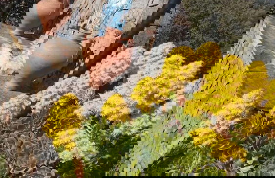 Monte da Esperança - Foto 4