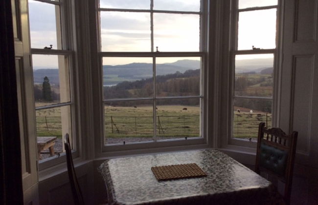 Wester Riechip - Foto 5