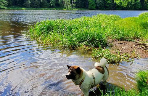 Schönes Apartment / Ferienwohnung am Regen - Foto 24
