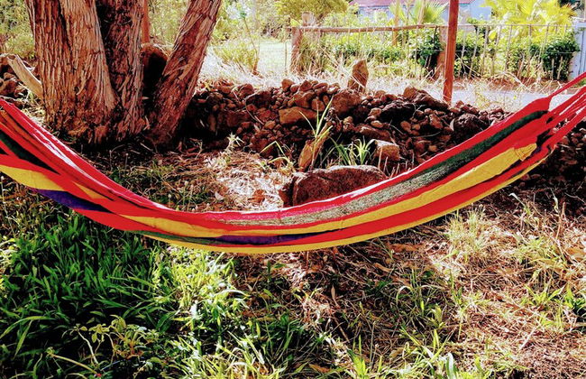 Pae pae by Liz It's Unique - Foto 38