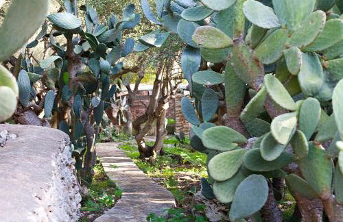 Agroturísme Ca'n Gaià - Foto 94