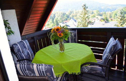 Ferienwohnung Rennsteigblick - Foto 16