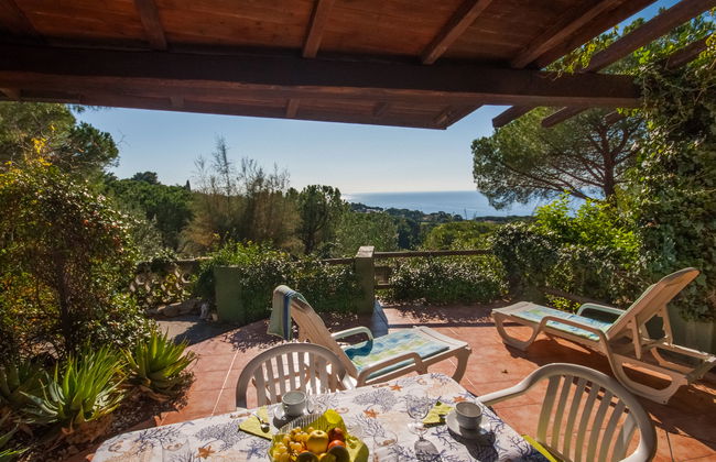 Piccola Oasi 4 - Photo 3