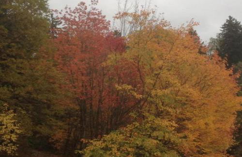 Ferienwohnung in Wildemann - Foto 30