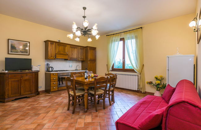 Rosa+Margherita+Lavanda+Ginestra+Gelsomi - Foto 9